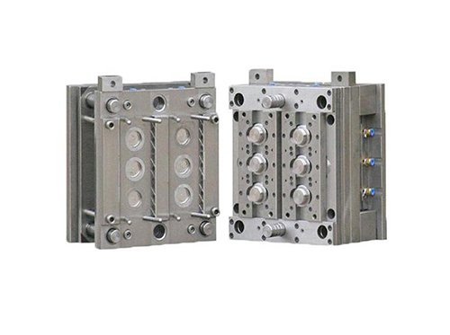 multi cavity mold